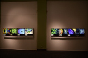 Wasp_exhibition__DSC3515